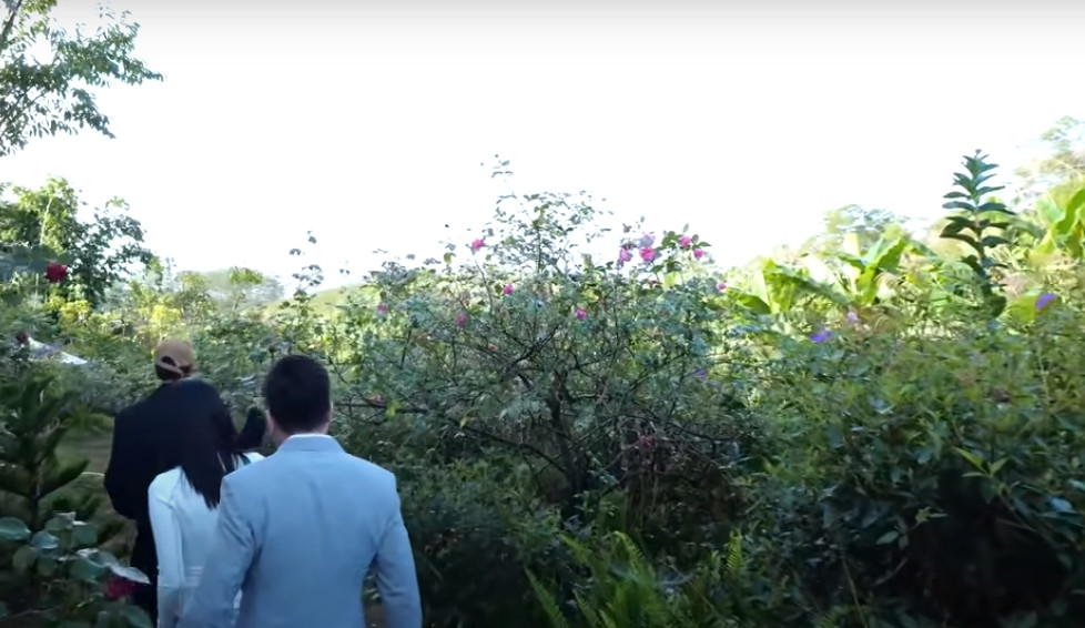 Trong vườn có nhiều loại hoa hồng như hồng cổ Sa Pa, hồng cổ Huế, hồng ngoại...