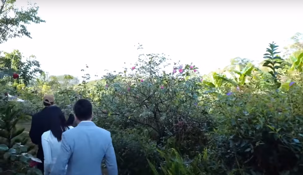 Trong vườn có nhiều loại hoa hồng như hồng cổ Sa Pa, hồng cổ Huế, hồng ngoại...