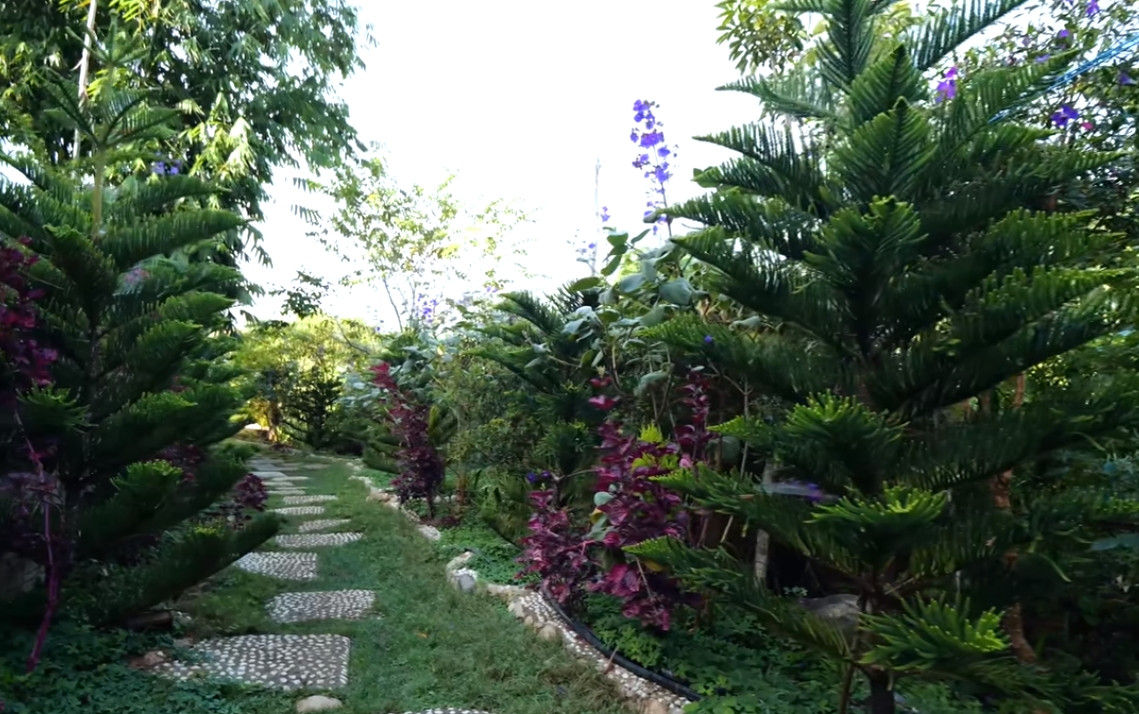 Bên ngoài căn nhà, Lý Quí Khánh thiết kế một khu vườn nhỏ ngập tràn cây xanh và hoa.