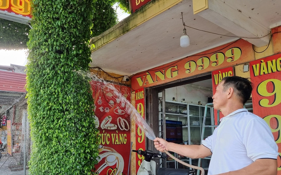 Hàng ngày, vợ chồng ông Tuyến thay nhau tưới cây. Khoảng 2 tháng, ông lại thực hiện tỉa cây một lần và mỗi lần mất 2 ngày. Ảnh: Dân Việt