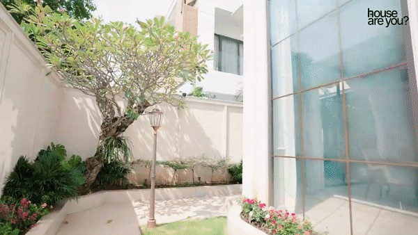 Huyền Baby cho biết, nhiều loại hoa trong vườn là do ông xã mua tặng vì biết vợ thích.