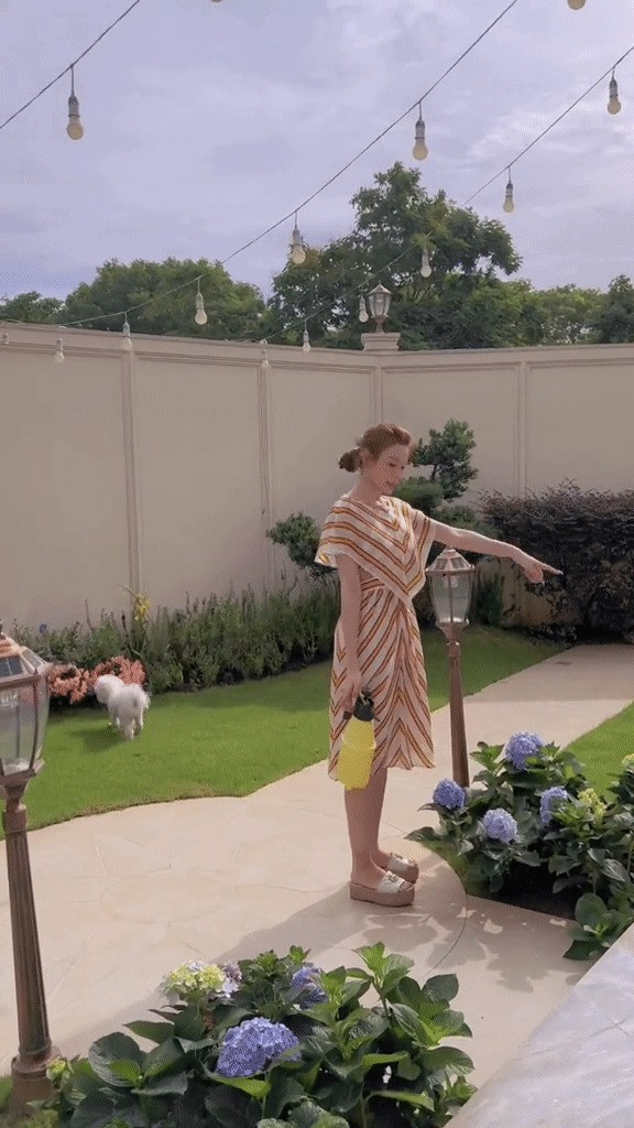 Tất cả cùng tạo cảnh sinh động và bắt mắt.