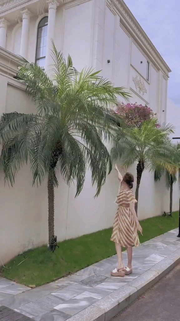 Cây nào cũng tươi tốt biến mỗi góc trong vườn thành không gian "sống ảo" lý tưởng. Nguồn ảnh: chụp màn hình House Are You