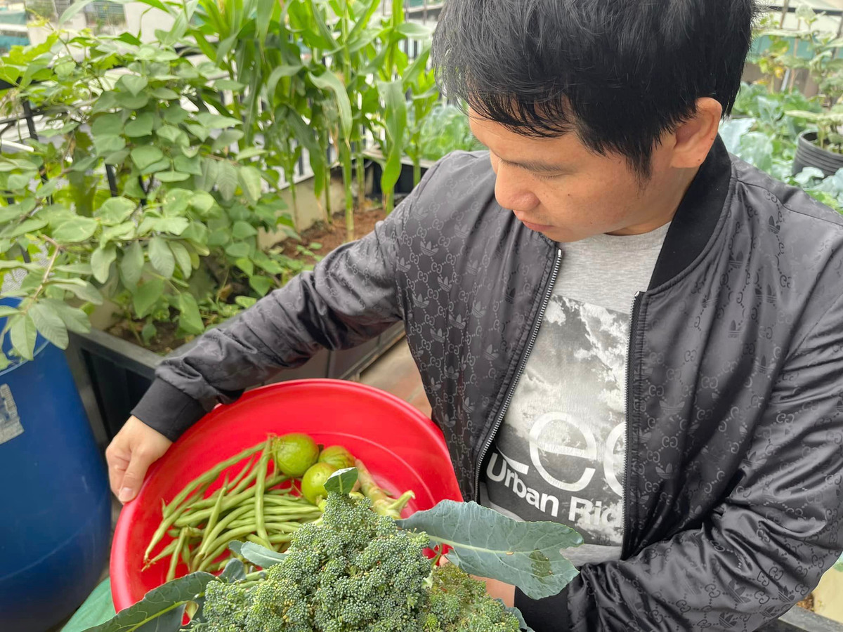 Anh thường xuyên khoe khoảnh khắc thư giãn và thu hoạch rau quả tại khu vườn trên cao.