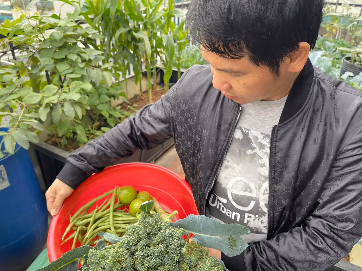 Anh thường xuyên khoe khoảnh khắc thư giãn và thu hoạch rau quả tại khu vườn trên cao.