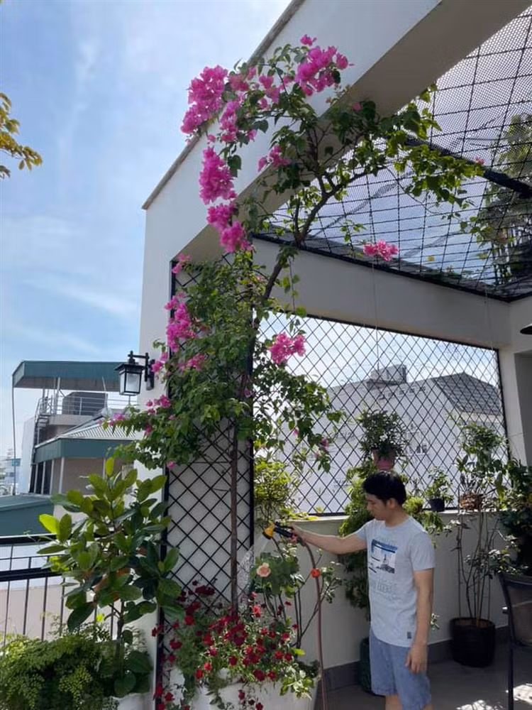 Trọng Tấn thích không gian sống nhiều cây và vật nuôi. Vì thế, trong ngôi nhà phố có diện tích hơn 120m2 ở Hà Nội, nam ca sĩ dành tới hơn một nửa để làm sân vườn, tiểu cảnh.