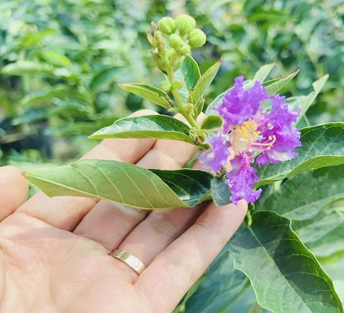 Đáng chú ý, nam doanh nhân thường đăng ảnh cá nhân nhưng ngón áp út của anh vẫn luôn giữ chiếc nhẫn cưới ngày nào.