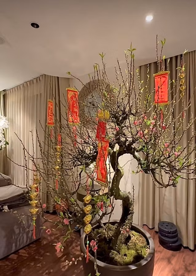 Không bề thế như ở TP HCM nhưng căn nhà của Lệ Quyên ở Hà Nội cũng sang trọng không kém. Ảnh: FBNV