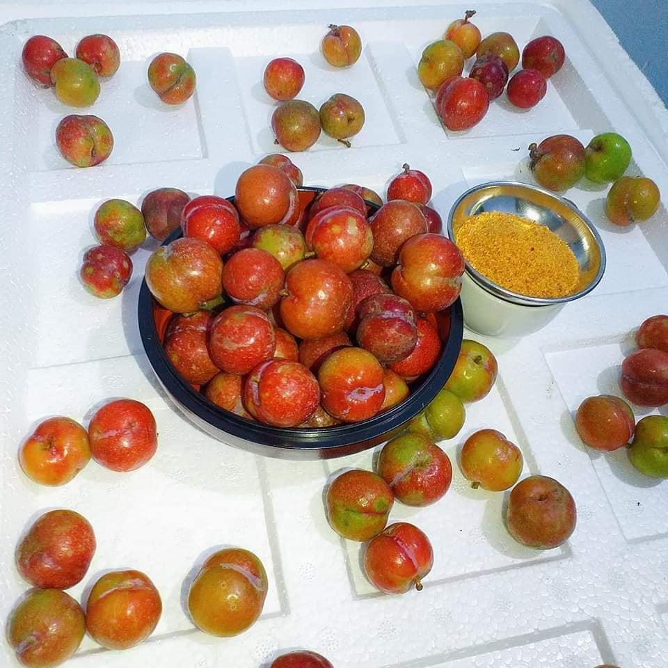 Các tiểu thương cho biết, mận trái mùa chỉ rộ lên từ tháng 11 đến hết tháng 12 dương lịch. Sau đó, mận sẽ dứt lứa để chuẩn bị cho đợt mận trái vụ thứ 2. Nguồn ảnh: Facebook