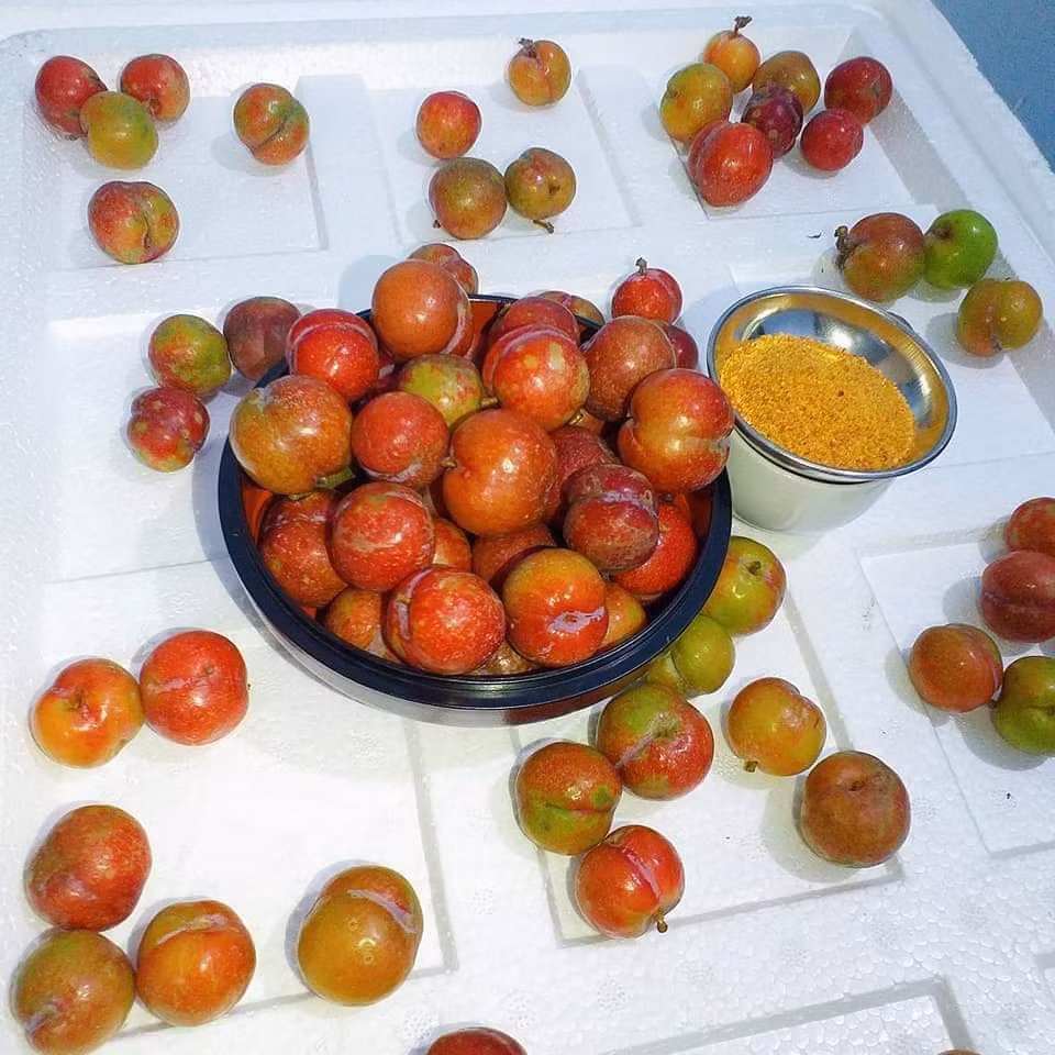 Các tiểu thương cho biết, mận trái mùa chỉ rộ lên từ tháng 11 đến hết tháng 12 dương lịch. Sau đó, mận sẽ dứt lứa để chuẩn bị cho đợt mận trái vụ thứ 2. Nguồn ảnh: Facebook