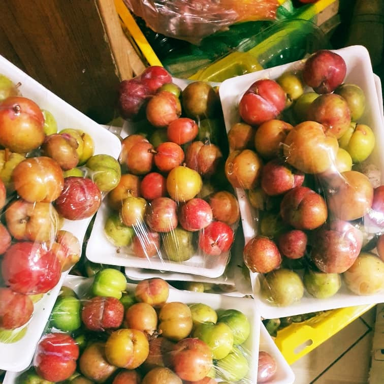 Theo chị Mai, mận trái mùa không có nhiều. Chị đi hỏi khắp các sạp hoa quả ở chợ gần nhà không ai có bán. Chị Mai phải đặt mua trên chợ online.