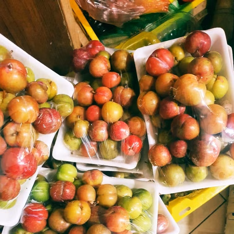 Theo chị Mai, mận trái mùa không có nhiều. Chị đi hỏi khắp các sạp hoa quả ở chợ gần nhà không ai có bán. Chị Mai phải đặt mua trên chợ online.