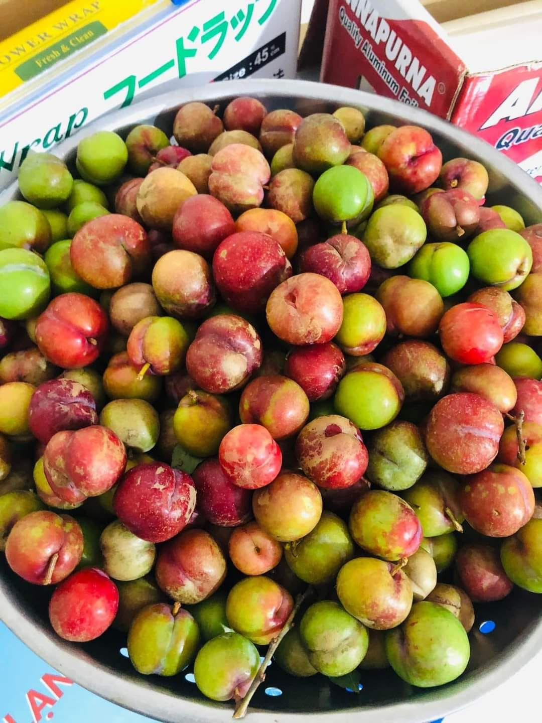 Chính vì vậy, mận hậu trái mùa bán trên chợ chung cư được nhiều chị em đặt mua.