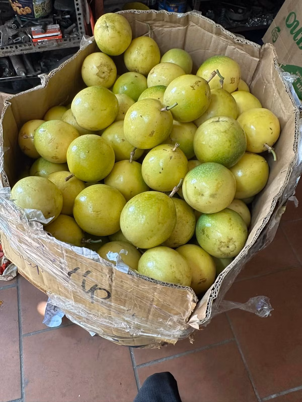 Nếu chanh leo chua giá dao động 25.000 - 30.000 đồng/kg, lúc rộ chỉ 15.000 đồng/kg thì chanh leo ngọt giá lên tới 85.000 đồng/kg. Thậm chí, hàng loại đẹp giá tới 120.000 - 135.000 đồng/kg. Ảnh: Facebook