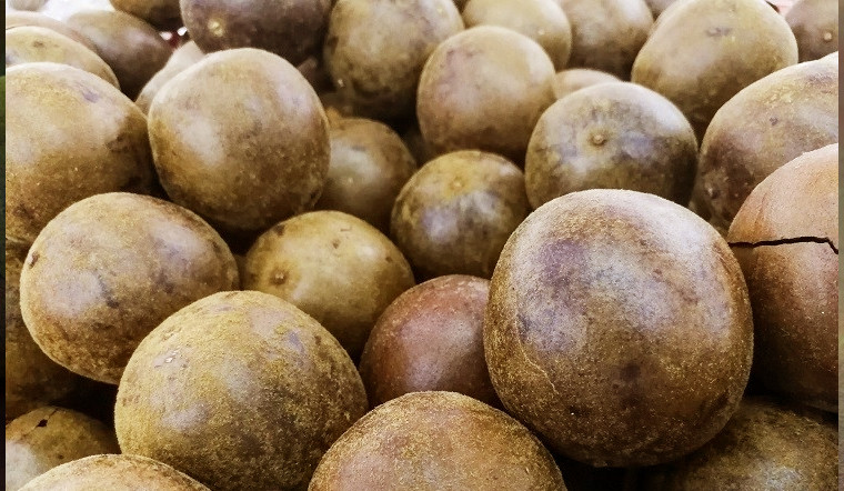 Trước đây, thứ quả dại này không được ai để ý tới. Thế nhưng, hiện la hán được người dân thành phố "săn lùng" với giá từ 300.000 - 350.000 đồng/kg (quả khô). Ảnh: Internet