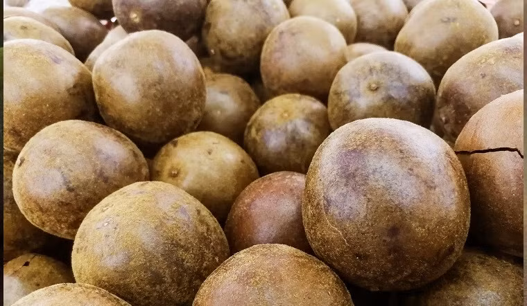 Trước đây, thứ quả dại này không được ai để ý tới. Thế nhưng, hiện la hán được người dân thành phố "săn lùng" với giá từ 300.000 - 350.000 đồng/kg (quả khô). Ảnh: Internet