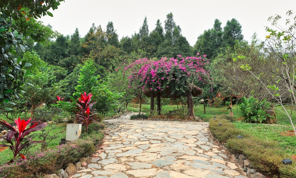 Việt Hoàn từng có ý định xây dựng trang trại này thành khu nghỉ dưỡng. Ảnh: Dân trí