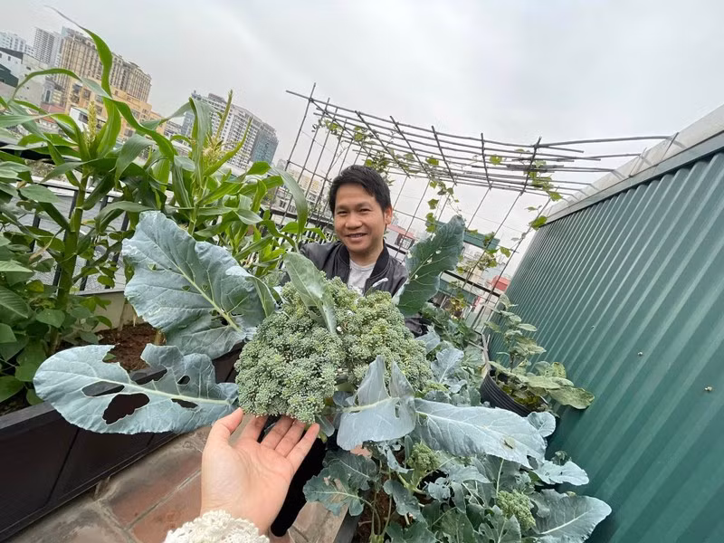Trên sân thượng, Trọng Tấn trồng nhiều hoa và các loại rau xanh, trái cây. Ảnh: FBNV