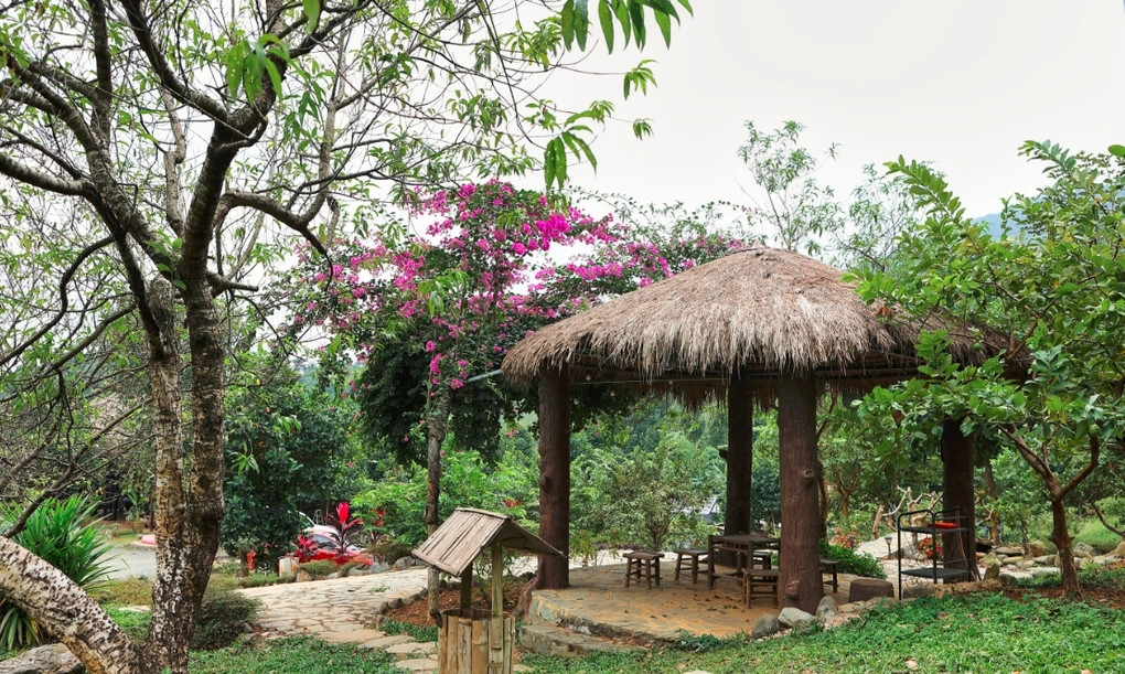 Nhà đồi của NSƯT Việt Hoàn trồng nhiều cây xanh, có nhà mái lá đẹp bình dị. Ảnh: Dân trí