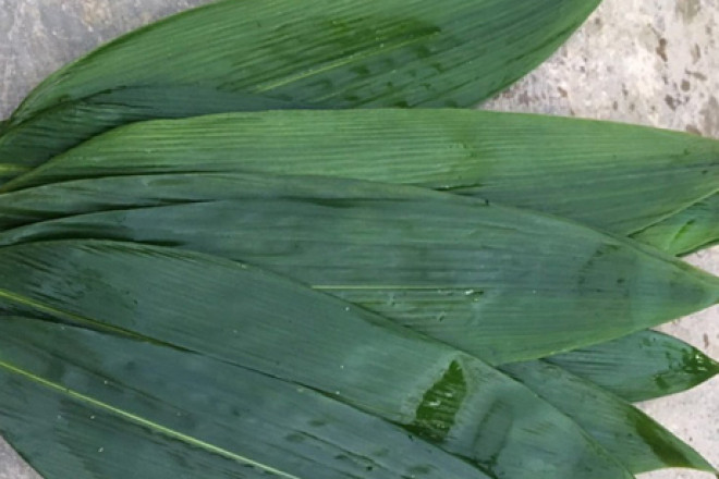 Tuy nhiên, trên các trang mạng ở nước ngoài, lá tre được rao bán với giá combo 3 lá gần 30 USD (tương đương 750.000 đồng). Lá tre được nhiều nơi ở nước ngoài nhập về để gói bánh. Ảnh: Internet