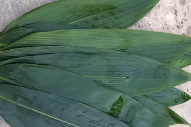 Tuy nhiên, trên các trang mạng ở nước ngoài, lá tre được rao bán với giá combo 3 lá gần 30 USD (tương đương 750.000 đồng). Lá tre được nhiều nơi ở nước ngoài nhập về để gói bánh. Ảnh: Internet