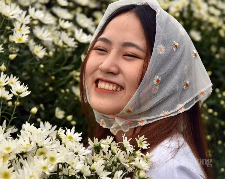 Ly do nao khien gia cuc hoa mi dau mua “ha nhiet”?-Hinh-2