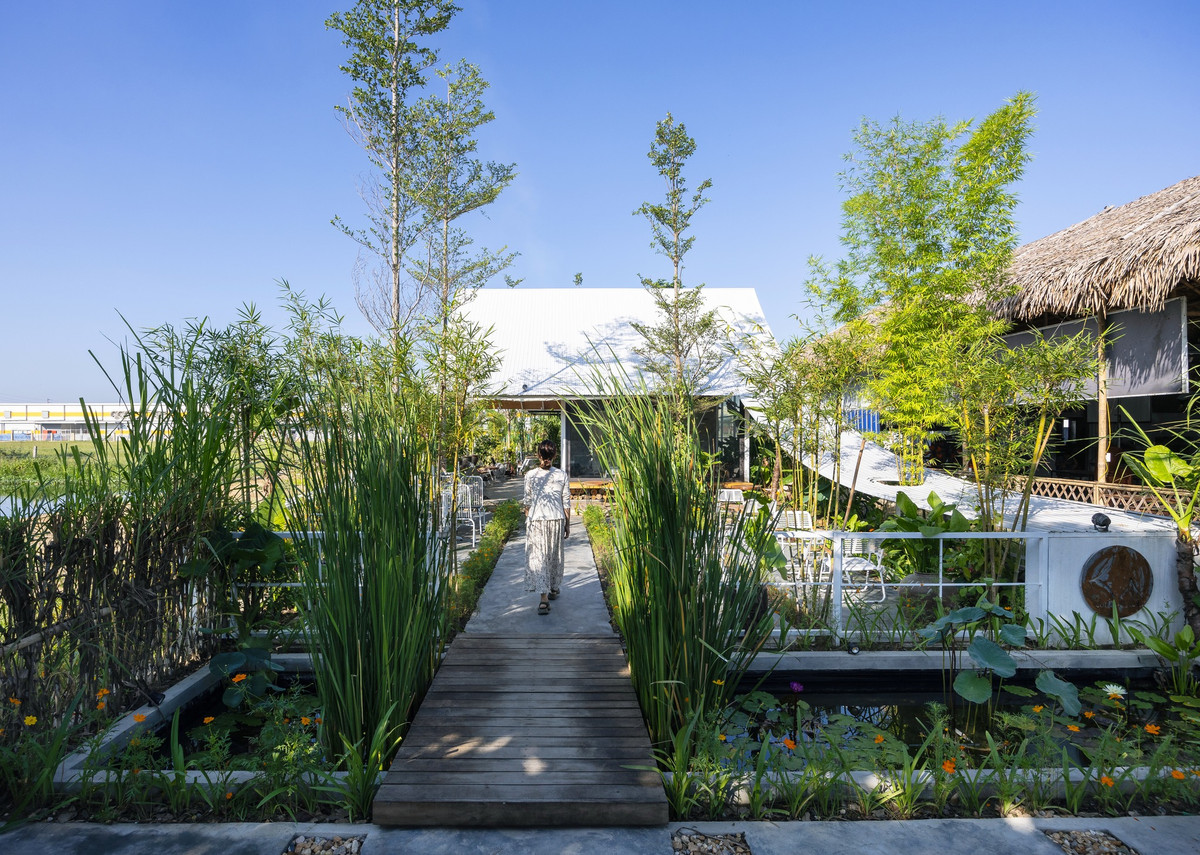 Cây trồng cho quán được lấy từ những cây có sẵn trong vùng như cỏ voi, tai voi, chuối, tre... đủ để mang nét đặc trưng địa phương và tiết kiệm chi phí.