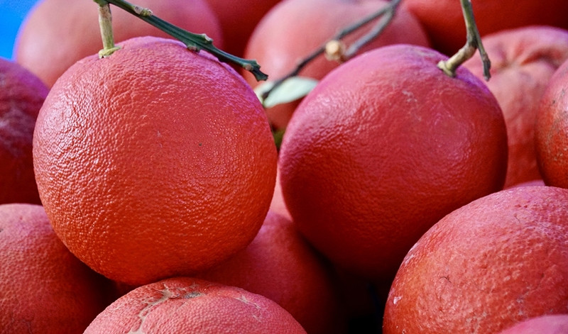 Mỗi trái bưởi đỏ Đông Cao có giá trung bình từ 80.000 - 150.000 đồng, tùy vào mẫu mã, kích cỡ. Ảnh: Qđnd