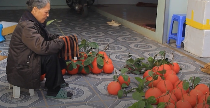 Những ngày cận Tết, không khí tại thôn Đông Cao tấp nập, rộn ràng hơn bởi thương lái ở nhiều nơi đổ về đây đặt mua bưởi. Ảnh: Qđnd