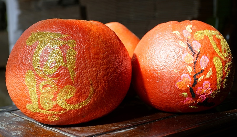 Bên cạnh những quả bưởi nguyên bản, bưởi thư pháp cũng là mặt hàng được khách hàng săn đón. Ảnh: Qđnd