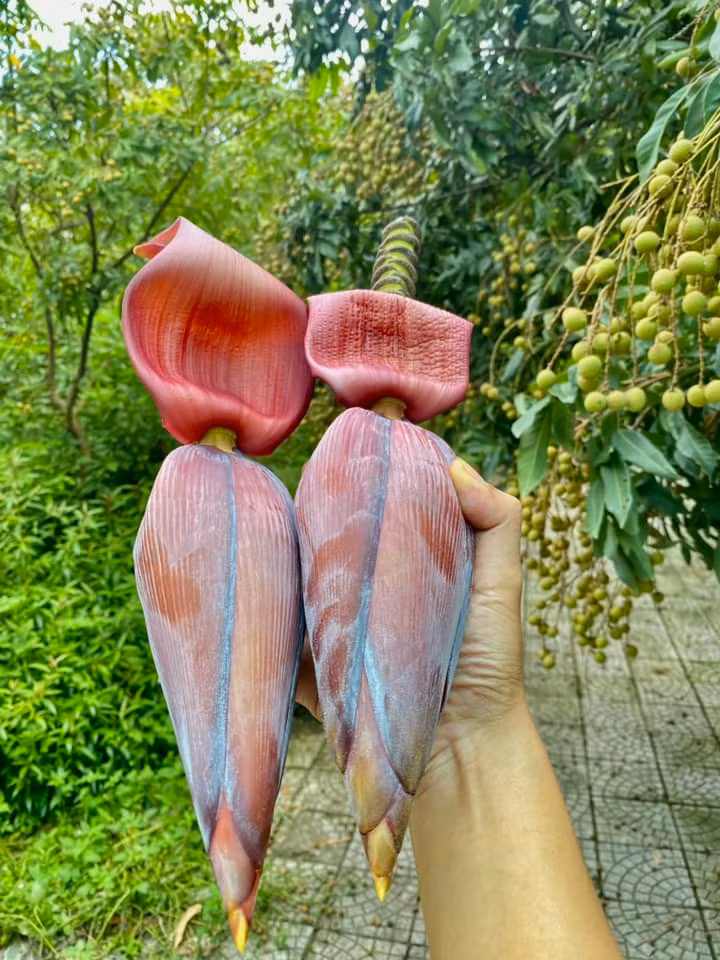 Hoa chuối hái trong vườn.