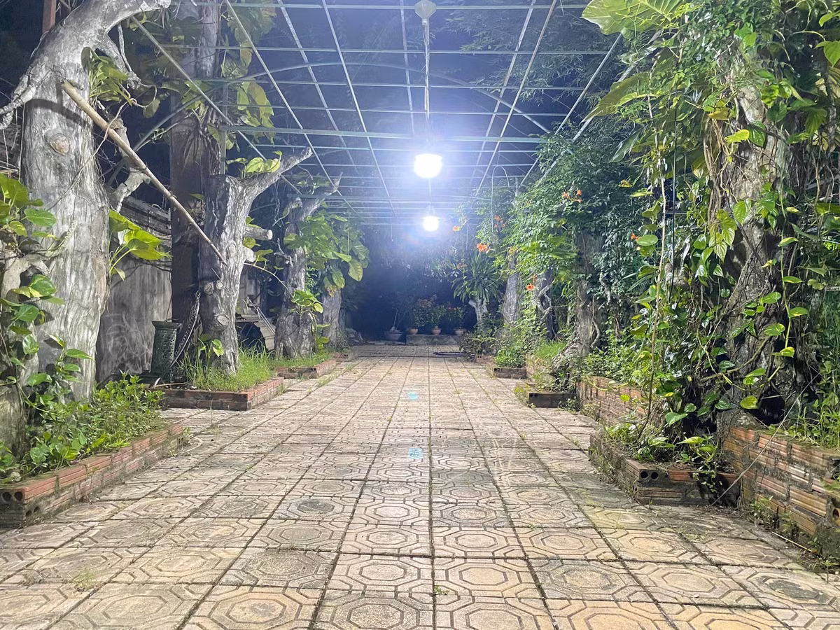 Trên trang cá nhân, con trai đầu của nghệ sĩ Giang Còi - đạo diễn Hiếu Vick cũng thường xuyên khoe hình ảnh khu vườn của nghệ sĩ Giang Còi ngập tràn cây trái.