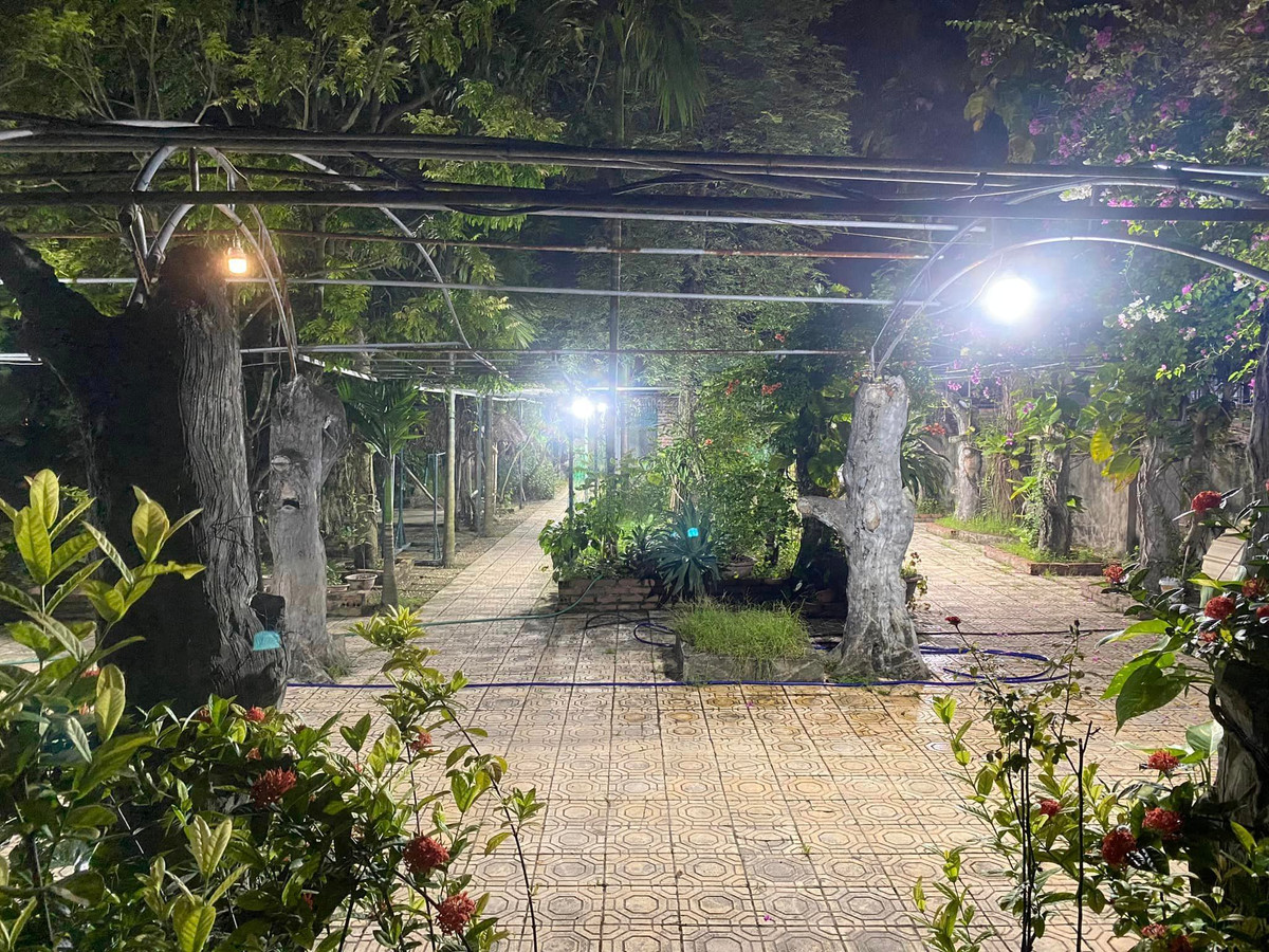 Sau khi nghệ sĩ Giang Còi qua đời vào năm 2021, các con của nam nghệ sĩ vẫn sống ở đây, thay bố chăm sóc nhà cửa và vườn.