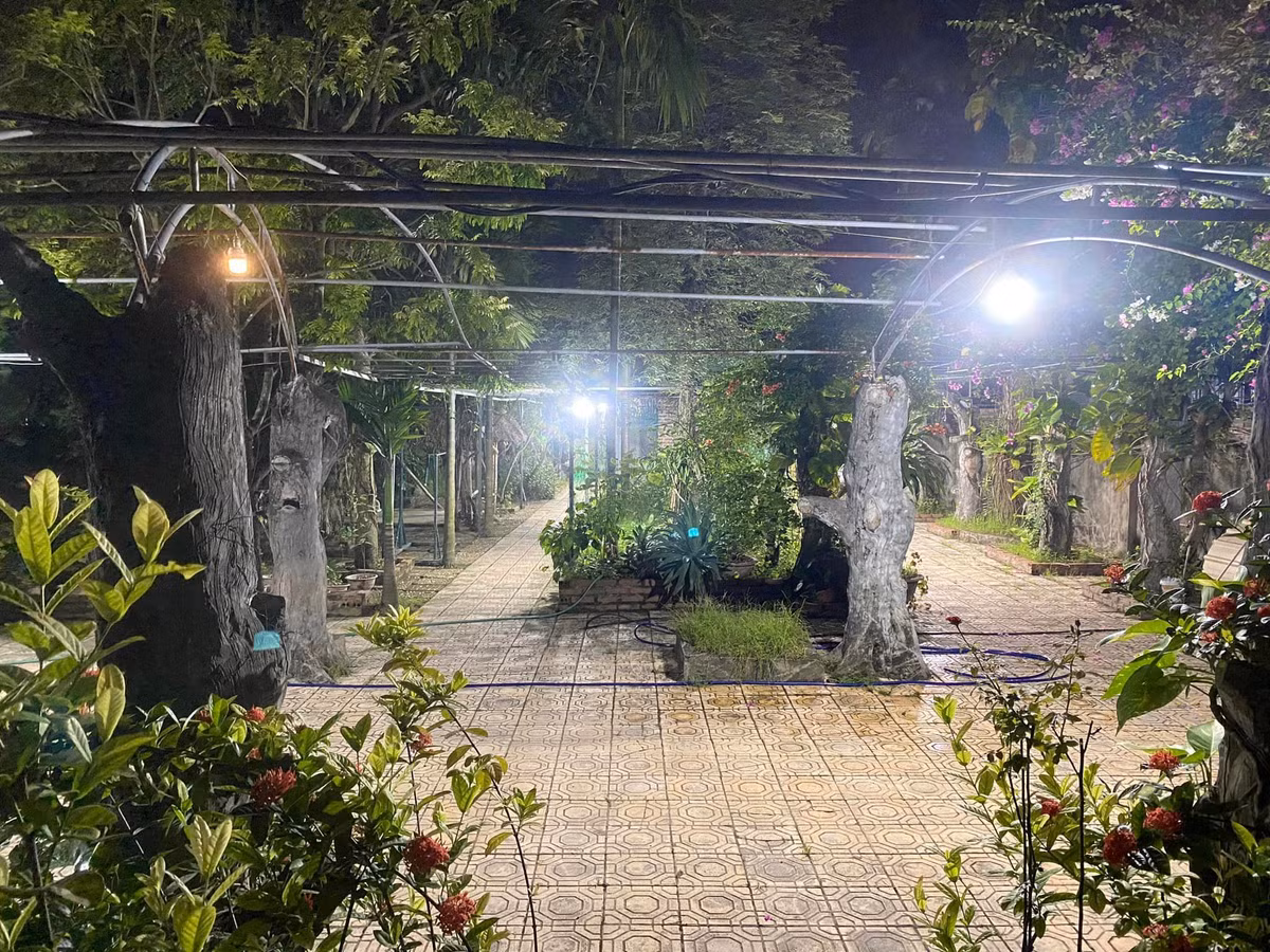 Sau khi nghệ sĩ Giang Còi qua đời vào năm 2021, các con của nam nghệ sĩ vẫn sống ở đây, thay bố chăm sóc nhà cửa và vườn.