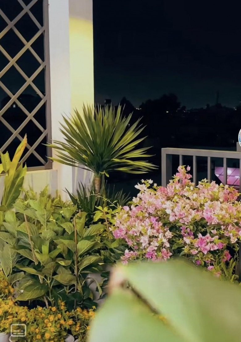 Một góc sân thượng ngập hoa trong nhà Tiktoker Việt Phương Thoa.