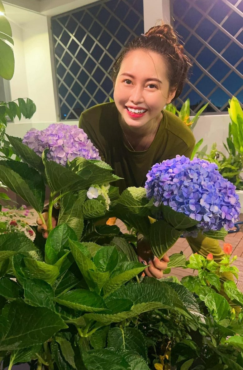 Việt Phương Thoa thích thú khoe chậu cẩm tú cầu nở hoa rực rỡ.