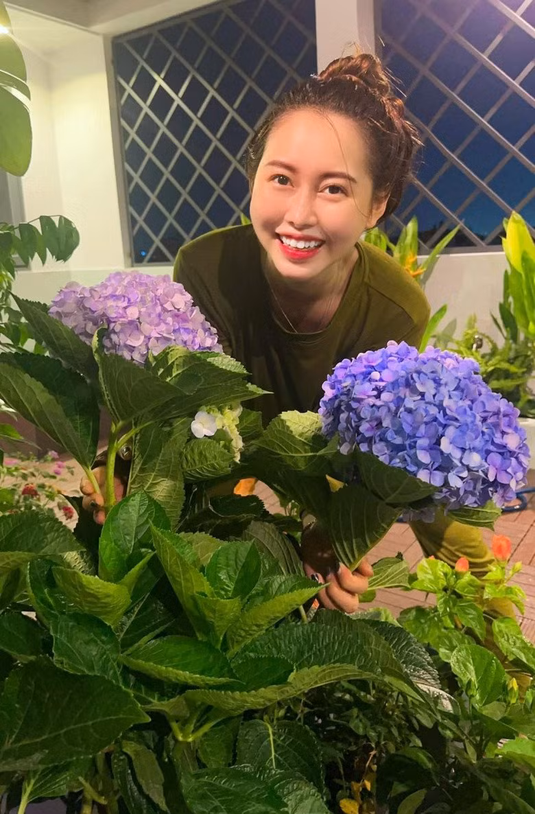 Việt Phương Thoa thích thú khoe chậu cẩm tú cầu nở hoa rực rỡ.