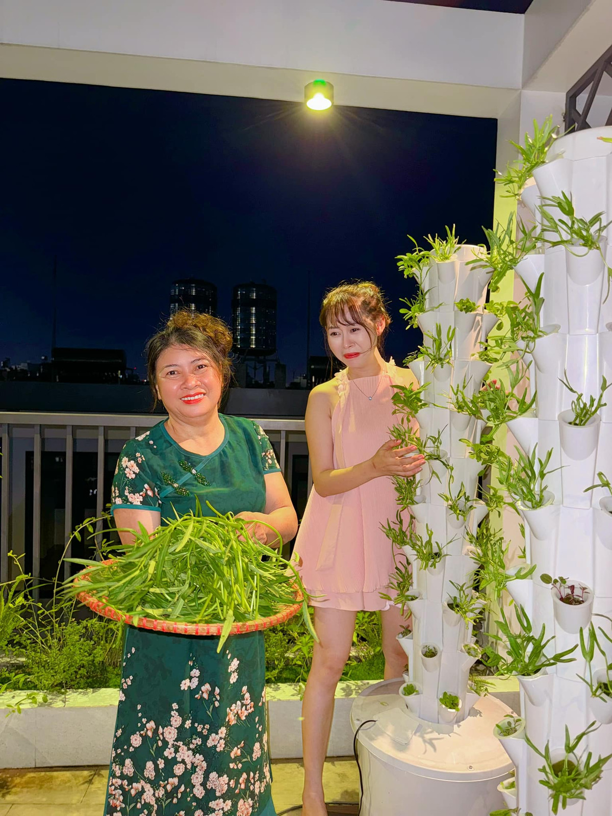 Sau một thời gian chăm sóc, rau muống trồng theo phương pháp thuỷ canh phát triển rất tốt.