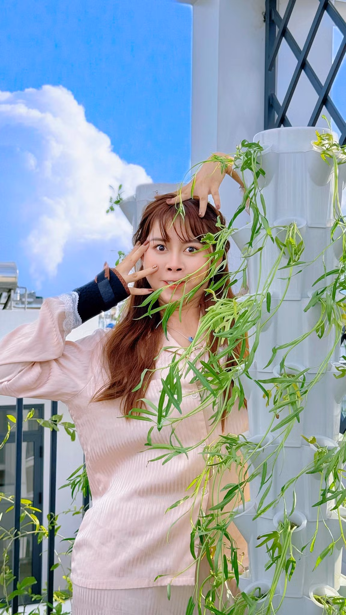 Đam mê trồng hoa và các loại cây, Tiktoker Việt Phương Thoa quyết định hô biến sân thượng thành khu vườn nhỏ.