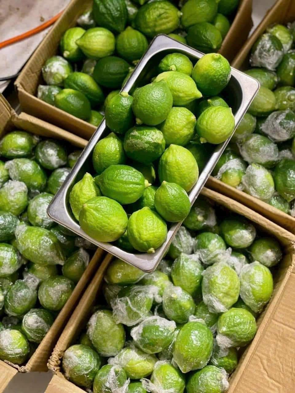 Đây là một loại chanh có kích thước lớn hơn so với chanh thông thường. Quả có hình bầu dục, hai đầu nhọn, vỏ dày, mang một mùi thơm đặc biệt. Ảnh: Facebook