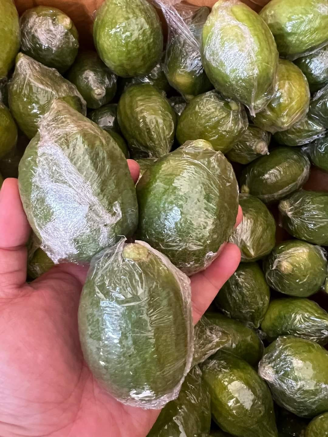 Chị Trang (một người bán chanh Quảng Đông ở Hà Nội) cho biết ban đầu chỉ dám nhập về 1-2 tạ. Dần dần, khách ngày một đông, mỗi ngày chị nhập về cả tấn cũng hết veo. Ảnh: Facebook