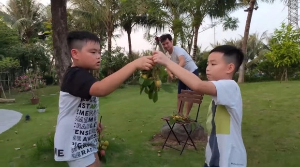 Trong sân vườn, gia đình nghệ sĩ Xuân Bắc trồng nhiều cây xanh, các loại hoa cỏ và các loại cây ăn quả. Ảnh: Chụp màn hình