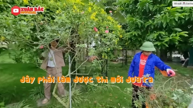 Bên cạnh giàn thiên lý là những chậu hoa hồng cổ. Ảnh chụp màn hình