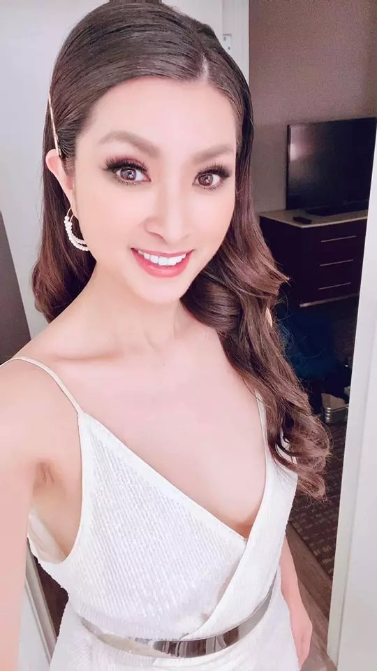 Nguyễn Hồng Nhung được biết đến khi thi Sao Mai điểm hẹn năm 2004. Sau nhiều ồn ào, ca sĩ Nguyễn Hồng Nhung sang Mỹ định cư.