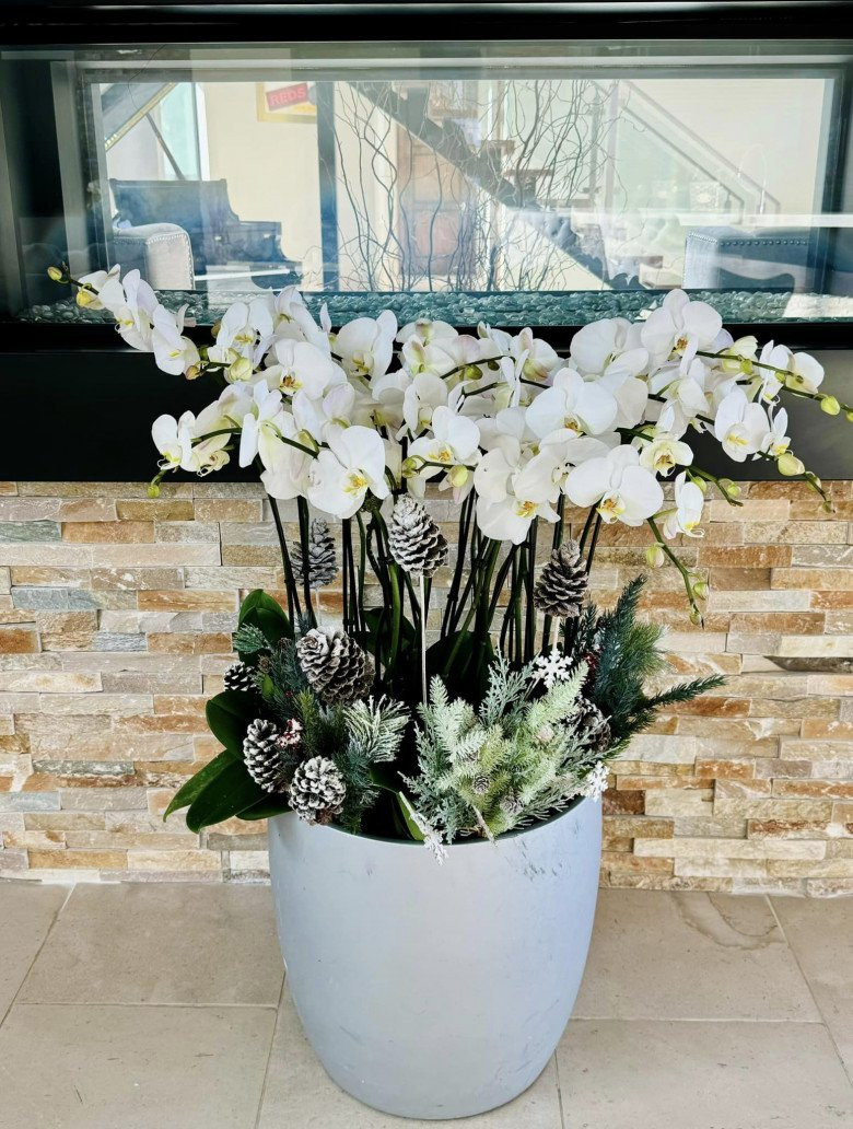 Ngoài trạng nguyên, doanh nhân Thủy Tiên còn bày chậu lan trắng muốt.