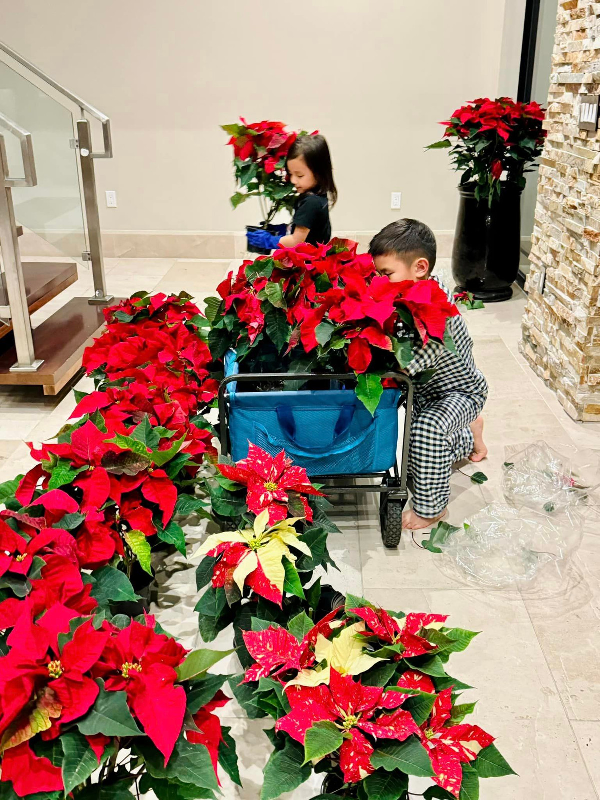 Dịp này, Thủy Tiên trang trí nhiều hoa trạng nguyên, rất hợp với không khí Noel.