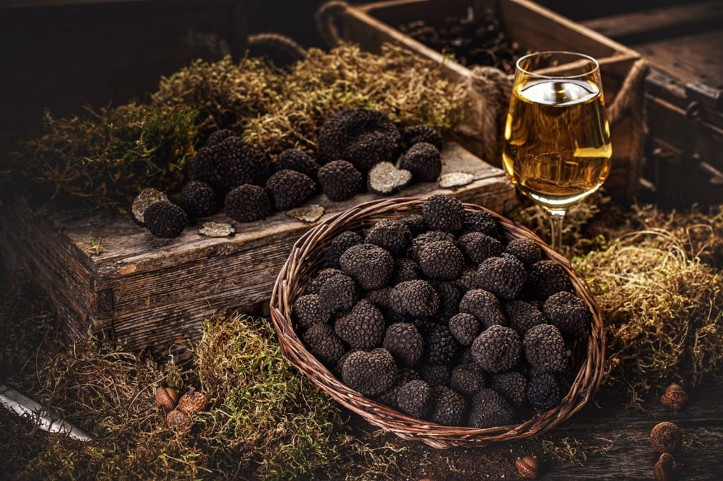Mỗi thực khách lại có cảm nhận khác nhau về nấm truffle đen. Có người thấy giàu vị ngọt umami, người thấy mùi đất, xạ hương, cây sồi và các loại hạt. Ảnh: Kasen Omakase
