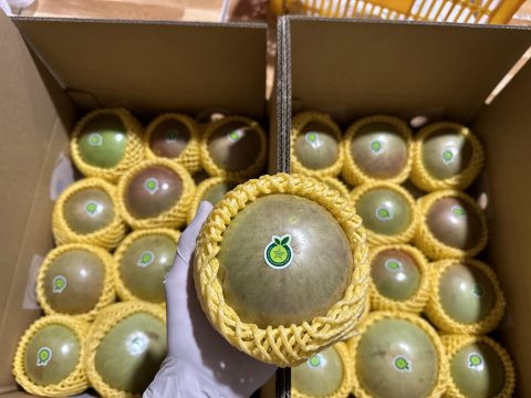 Vú sữa xuất khẩu được đóng trong thùng carton theo tiêu chuẩn. Những thùng carton này cần được in đầy đủ thông tin cần thiết trên bao bì. Ảnh: Canthofruits