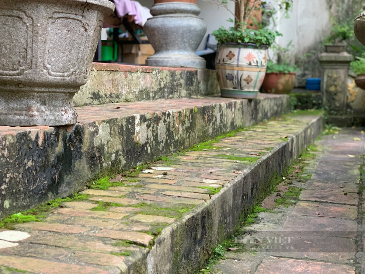 Những bậc thềm hoen ố, rêu phong in hằn dấu vết của thời gian. Ảnh: Dân Việt