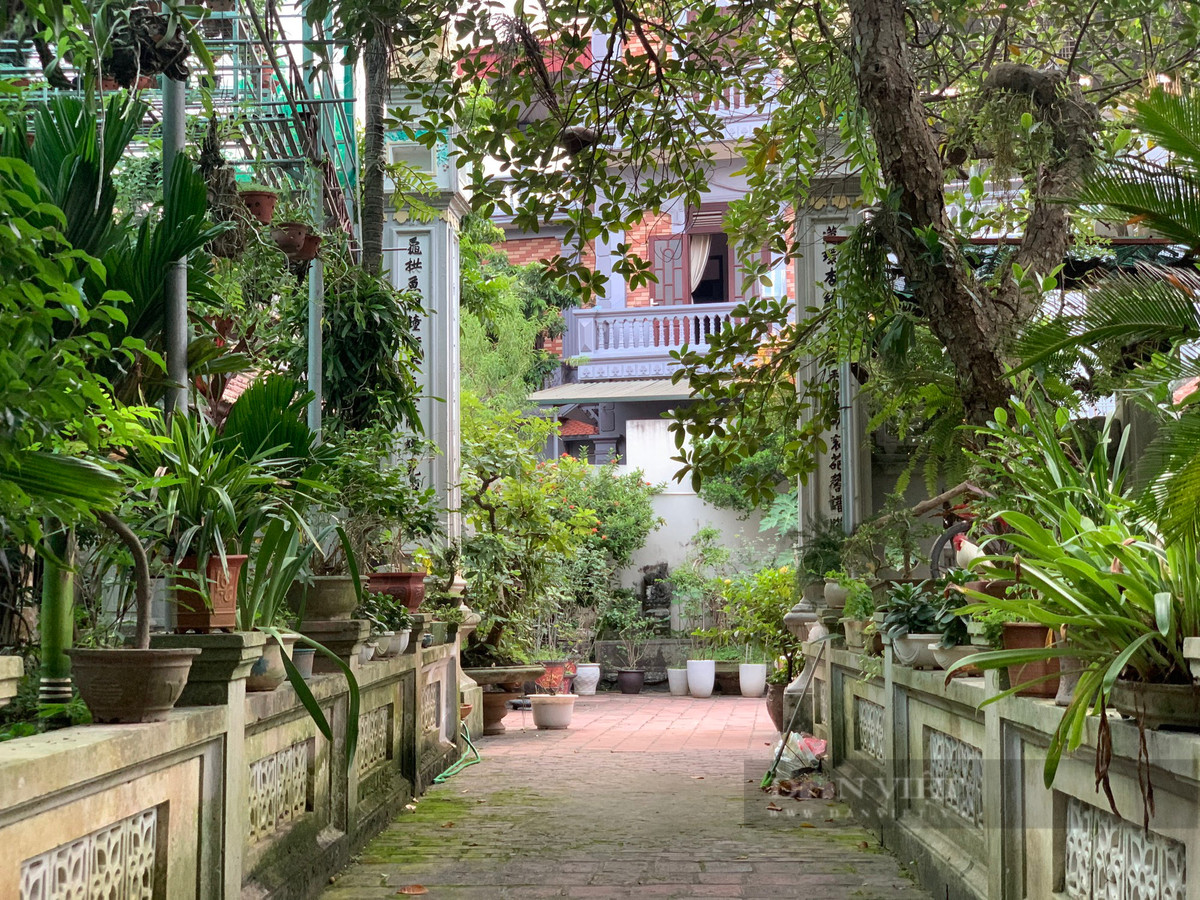 Không gian vườn với nhiều cây cối xanh tươi, tạo cảm giác mát mẻ. Ảnh: Dân Việt